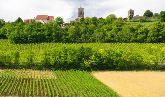 AU SOLEIL D'OR Pontaubert