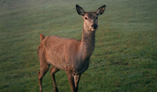 BERGHOTEL JÄGERHOF Isny im Allgäu