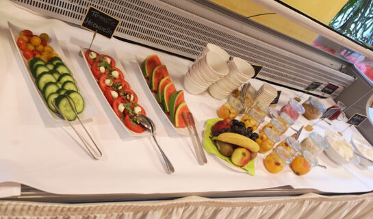 HOTEL GOLDFLAIR AM RATHAUS (B&B) Korbach