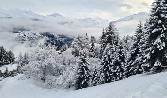 AUBERGE DE L'OURS (B&B) Vex