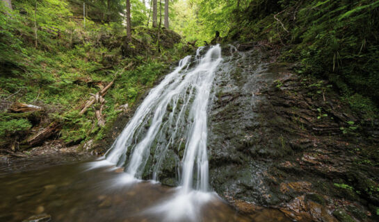 CHALET MOOS (B&B) Todtmoos