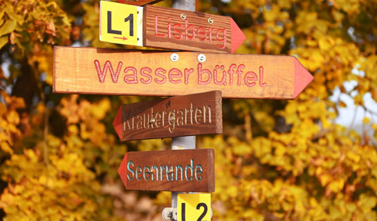 LANDGASTHOF ALTES KURHAUS Lisberg