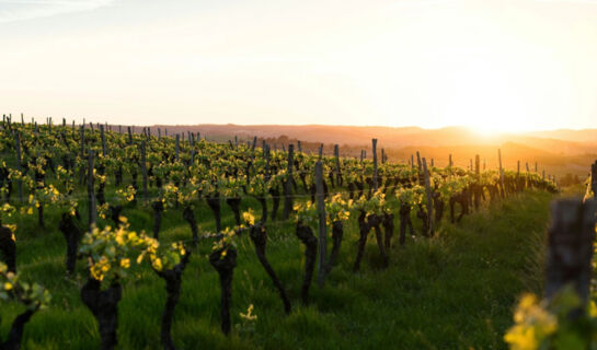 DEVA HOTEL RENCHTALBLICK Oberkirch