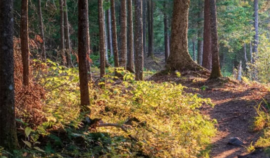 DEVA HOTEL RENCHTALBLICK Oberkirch