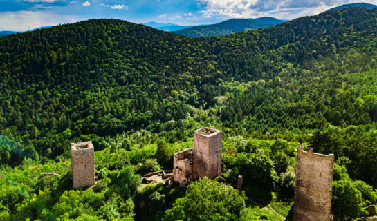 LA PERLE DES VOSGES Muhlbach-sur-Munster