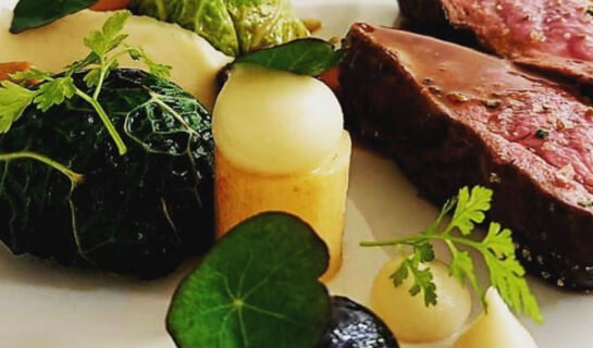 LE ROY SOLEIL Menerbes