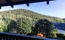HOTEL LE FREUDENECK Wangenbourg-Engenthal