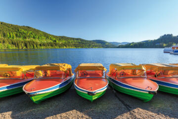 CHALET MOOS (B&B) Todtmoos