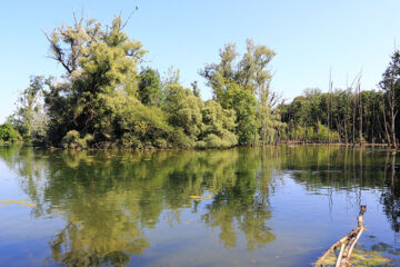 AU LION ROUGE Bartenheim